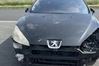 Baguette de porte avant gauche PEUGEOT 407