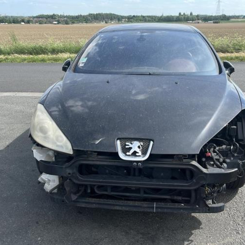 Baguette de porte avant gauche PEUGEOT 407 Photo n°10