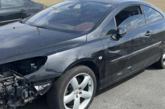 Baguette de porte avant gauche PEUGEOT 407