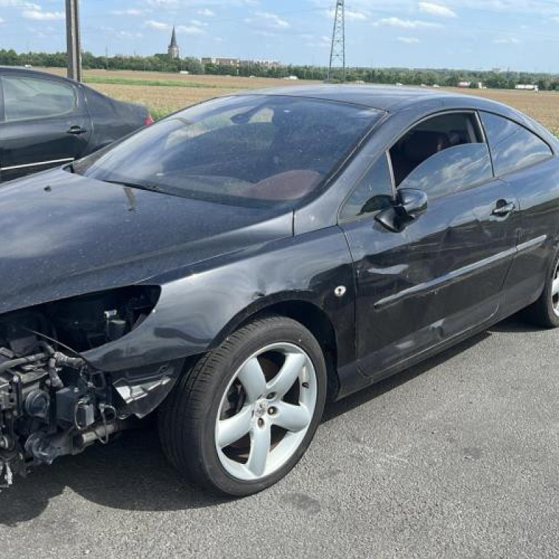 Baguette de porte avant gauche PEUGEOT 407 Photo n°11