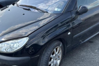 Baguette de porte avant gauche PEUGEOT 206