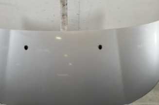 Capot CITROEN C3 PICASSO Photo n°1