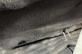 Capot CITROEN C3 PICASSO