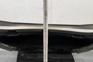 Capot CITROEN C3 PICASSO