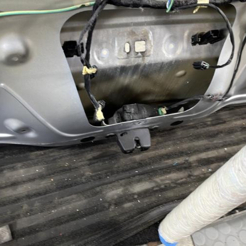 Malle/Hayon arriere CITROEN C3 PICASSO Photo n°10