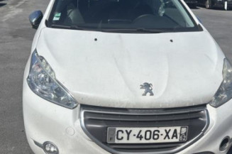 Custode avant droit (porte) PEUGEOT 208 1