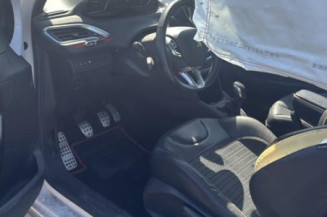 Custode avant droit (porte) PEUGEOT 208 1