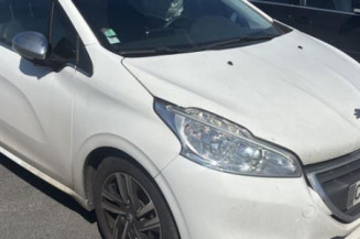 Custode avant gauche (porte) PEUGEOT 208 1