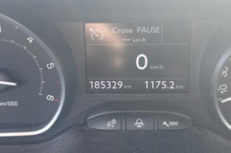 Custode avant gauche (porte) PEUGEOT 208 1