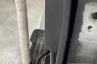 Porte arriere gauche CITROEN C5 2