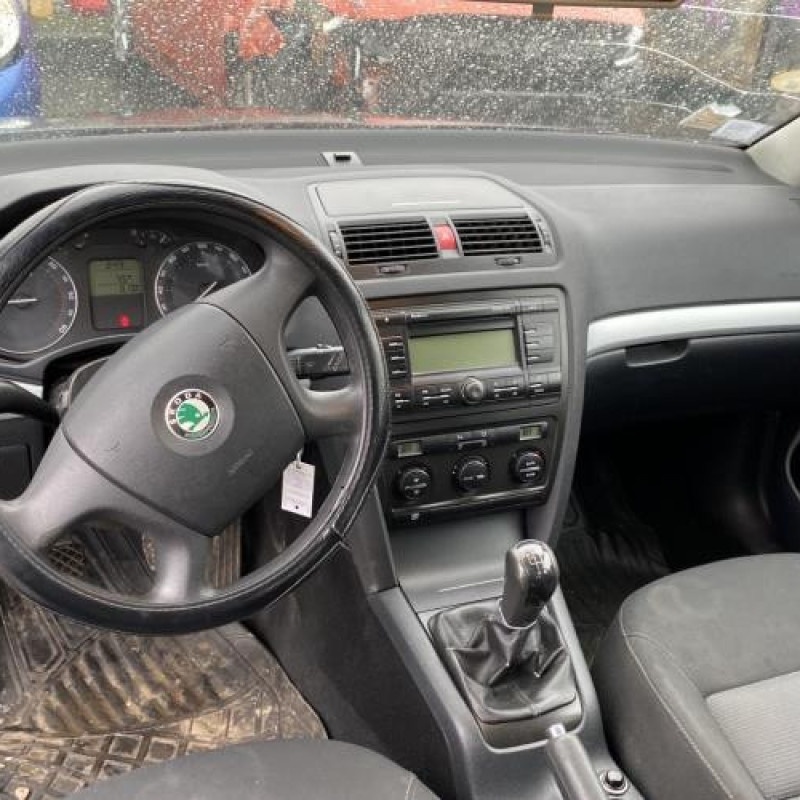 Porte arriere droit SKODA OCTAVIA 2 Photo n°20