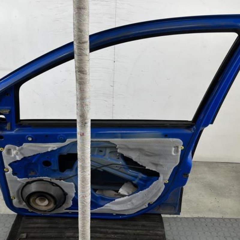 Porte avant droit FIAT PANDA 2 Photo n°7