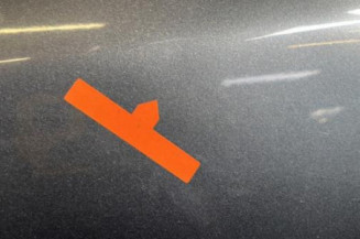 Porte avant gauche SKODA OCTAVIA 2