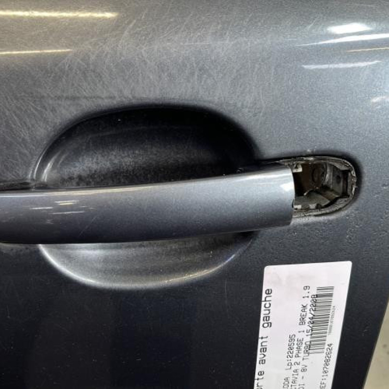 Porte avant gauche SKODA OCTAVIA 2 Photo n°3