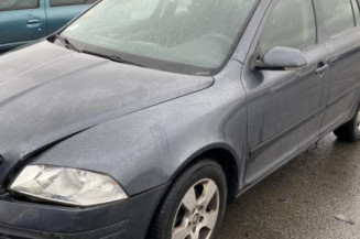 Porte avant gauche SKODA OCTAVIA 2