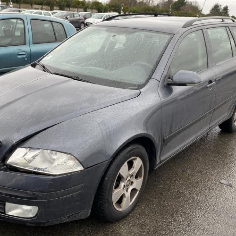 Porte avant gauche SKODA OCTAVIA 2 Photo n°8