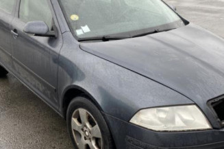 Porte avant gauche SKODA OCTAVIA 2