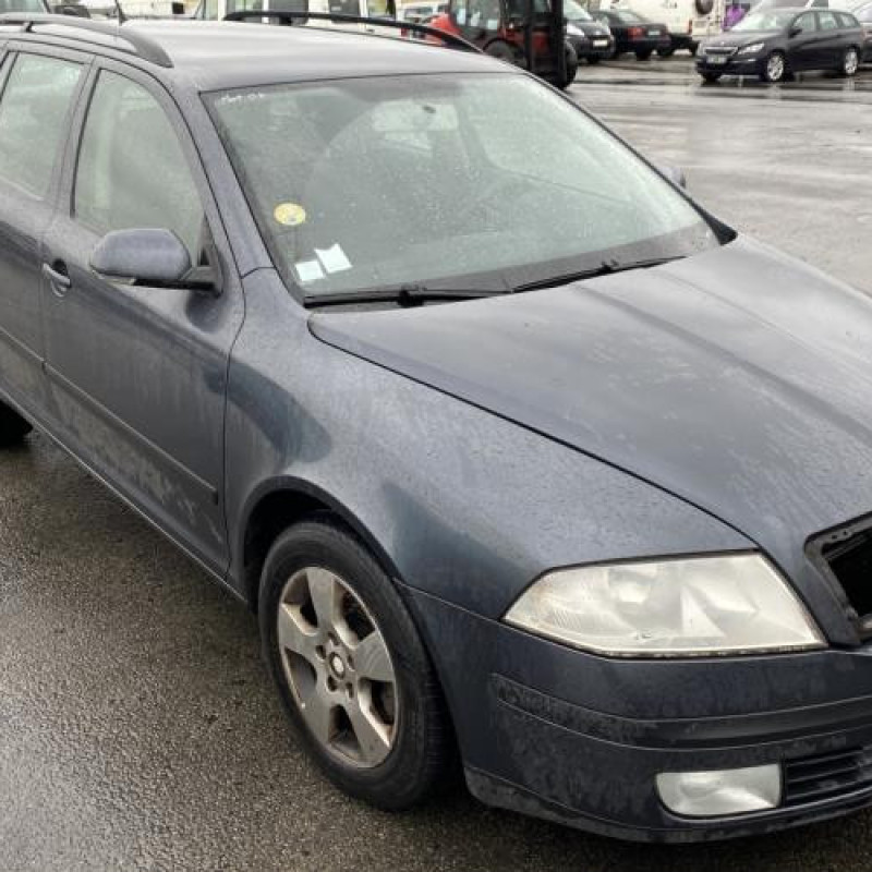Porte avant gauche SKODA OCTAVIA 2 Photo n°9