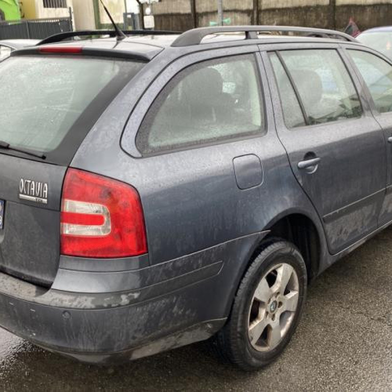 Porte avant gauche SKODA OCTAVIA 2 Photo n°10