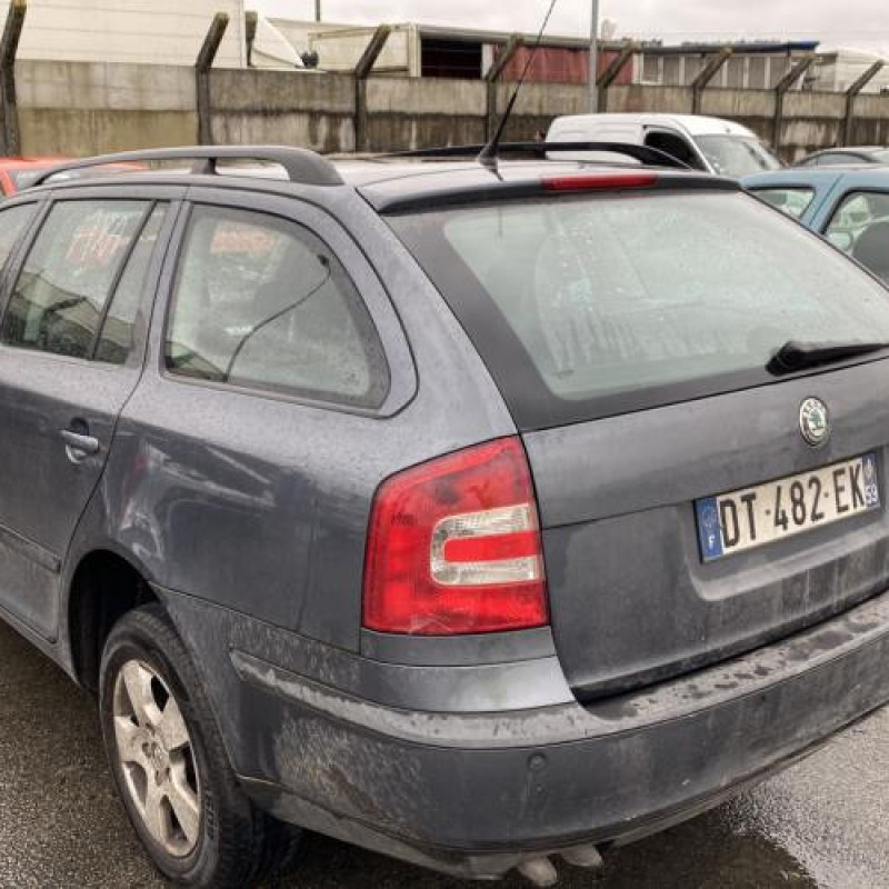 Porte avant gauche SKODA OCTAVIA 2 Photo n°11