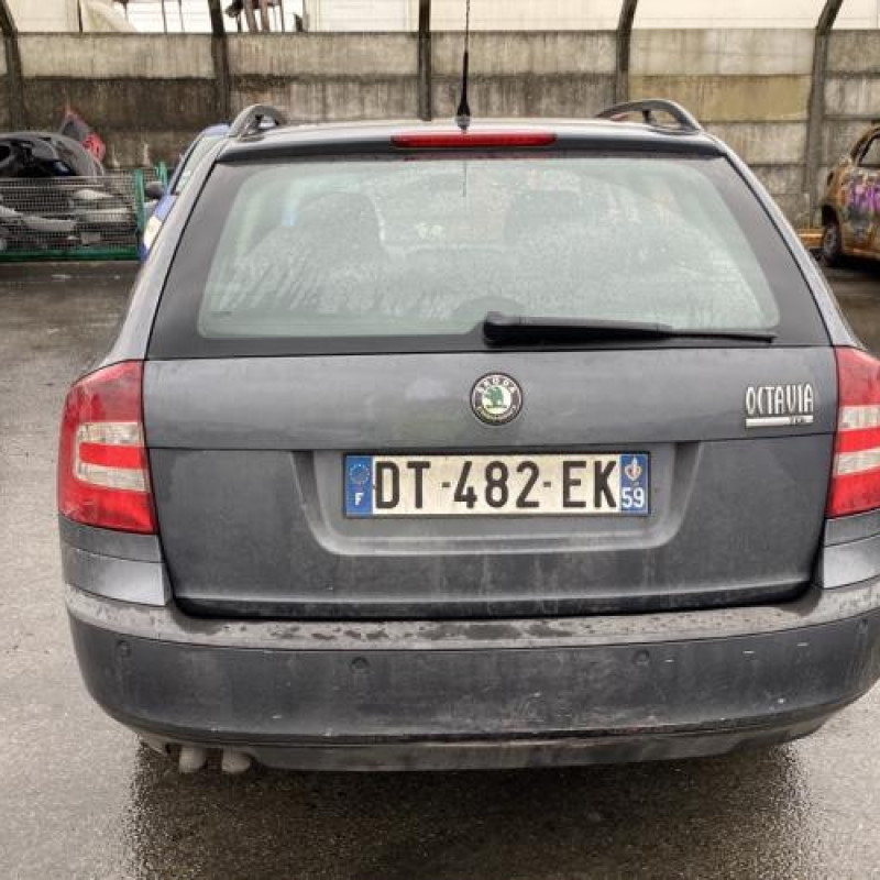 Porte avant gauche SKODA OCTAVIA 2 Photo n°12