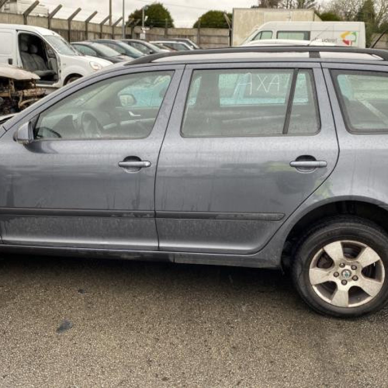 Porte avant gauche SKODA OCTAVIA 2 Photo n°13