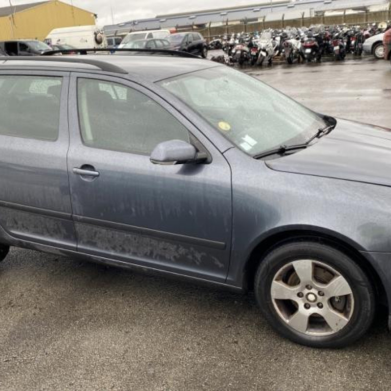 Porte avant gauche SKODA OCTAVIA 2 Photo n°14