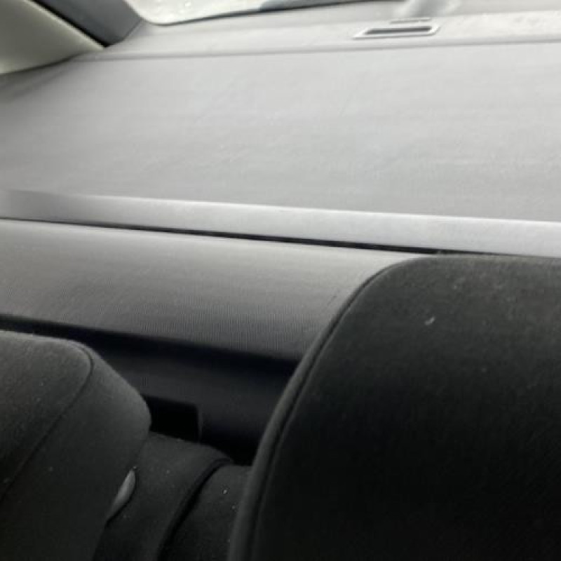 Porte avant gauche SKODA OCTAVIA 2 Photo n°20