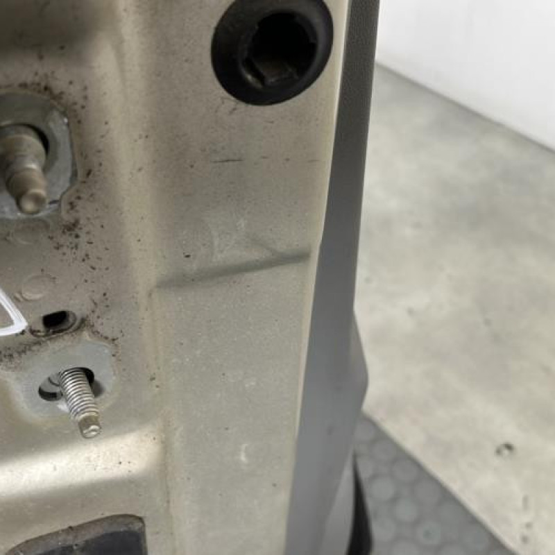 Porte avant droit RENAULT GRAND SCENIC 2 Photo n°4