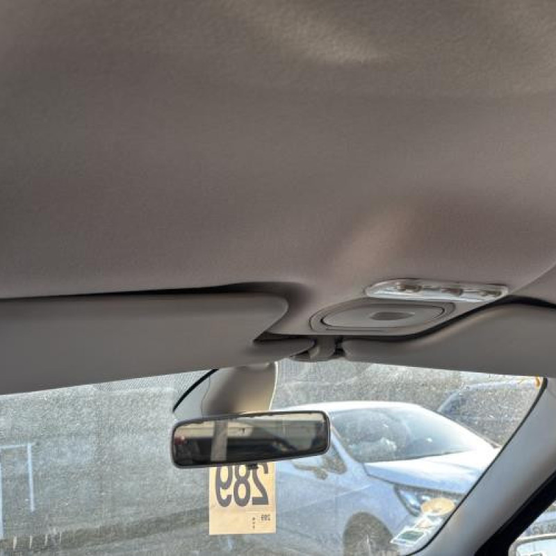 Porte avant droit RENAULT GRAND SCENIC 2 Photo n°20