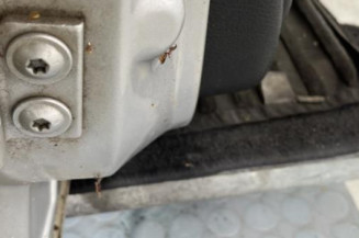 Porte avant droit PEUGEOT 406