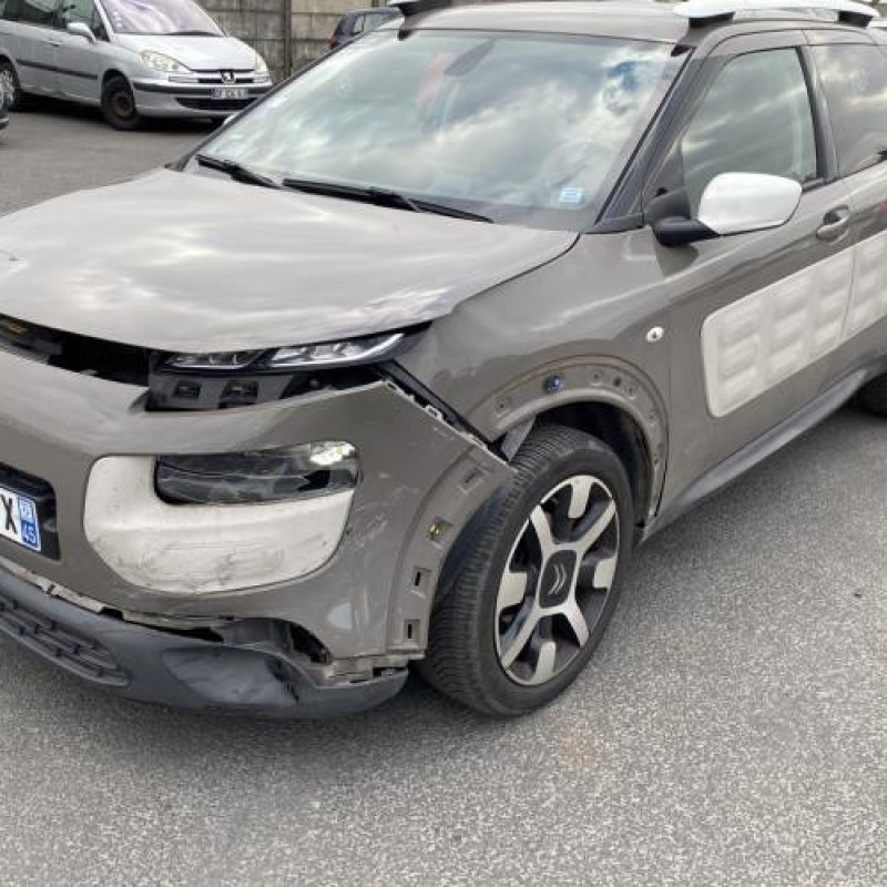 Porte avant gauche CITROEN C4 CACTUS Photo n°5