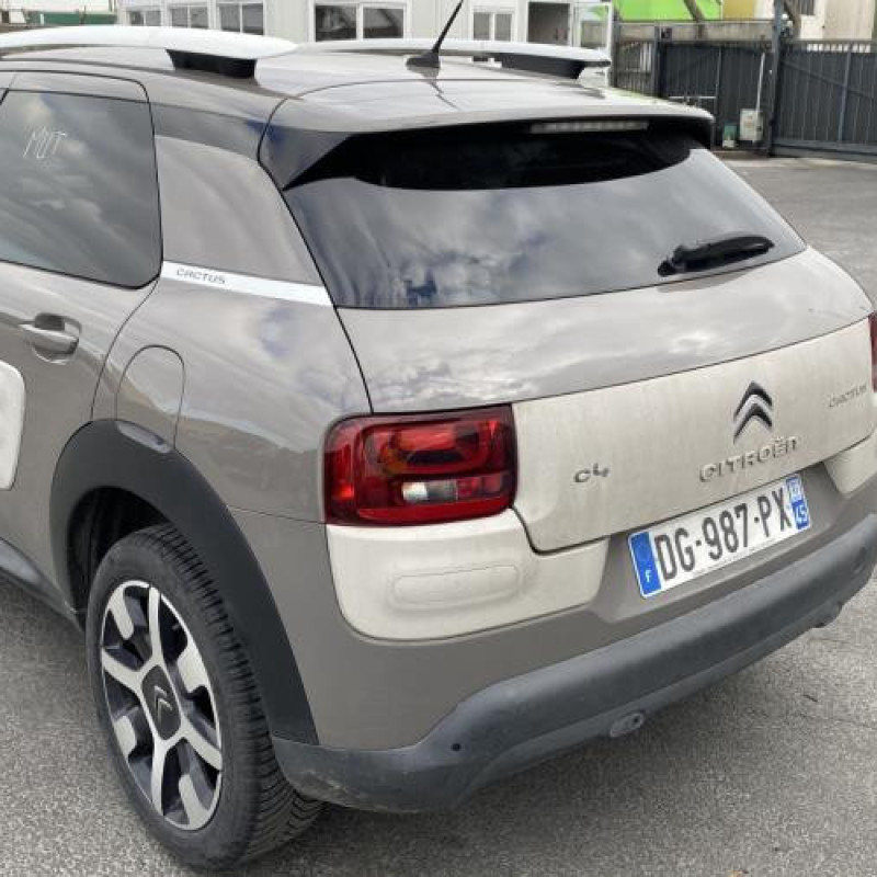 Porte avant gauche CITROEN C4 CACTUS Photo n°8