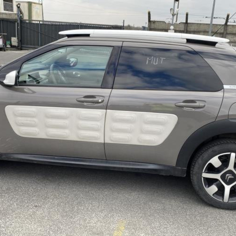 Porte avant gauche CITROEN C4 CACTUS Photo n°11