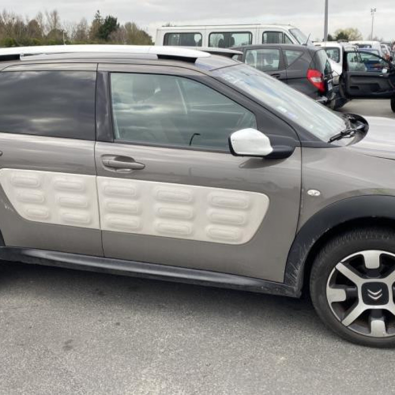 Porte avant gauche CITROEN C4 CACTUS Photo n°12