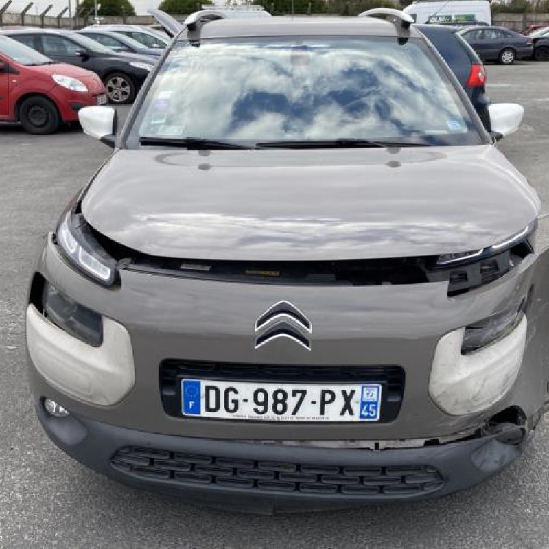 Porte avant gauche CITROEN C4 CACTUS Photo n°13