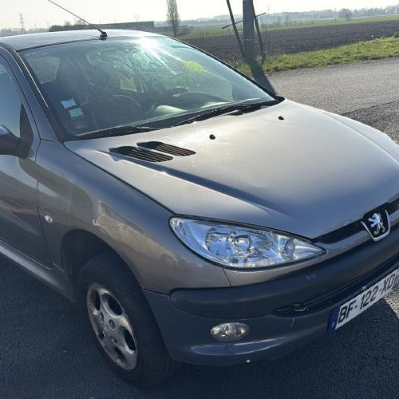 Vitre arriere droit PEUGEOT 206 Photo n°6