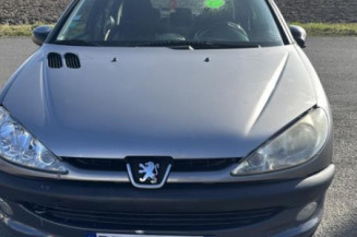 Vitre arriere droit PEUGEOT 206
