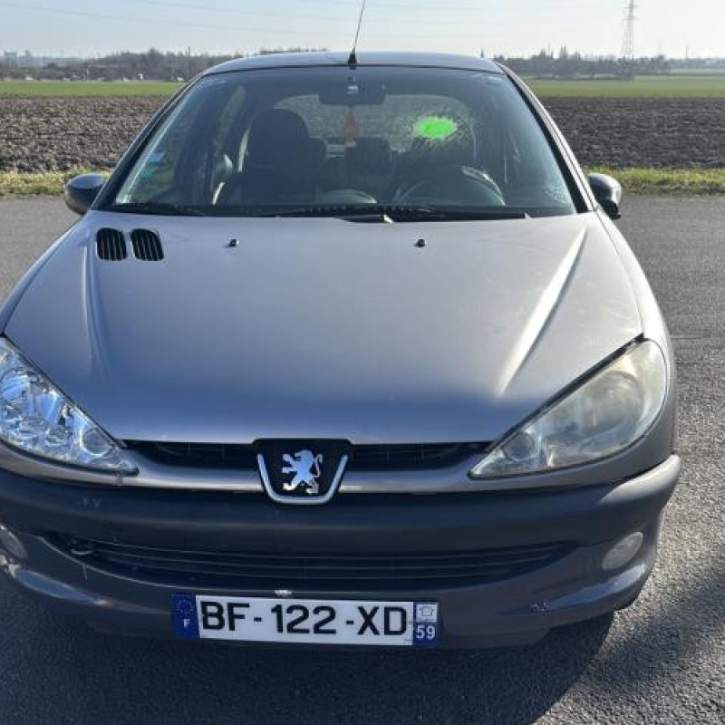 Vitre arriere droit PEUGEOT 206 Photo n°12