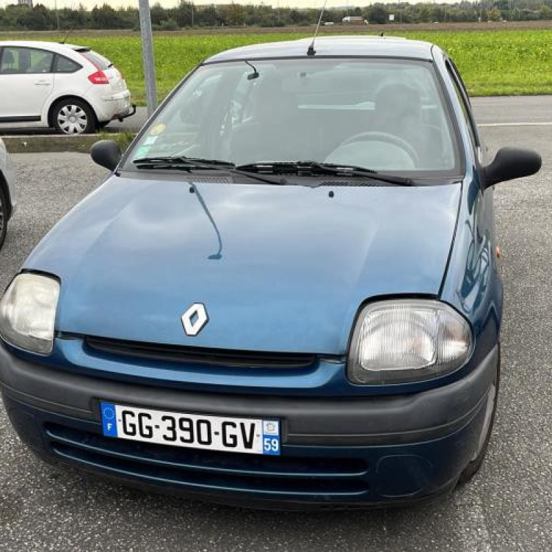 Porte avant gauche RENAULT CLIO 2 Photo n°10