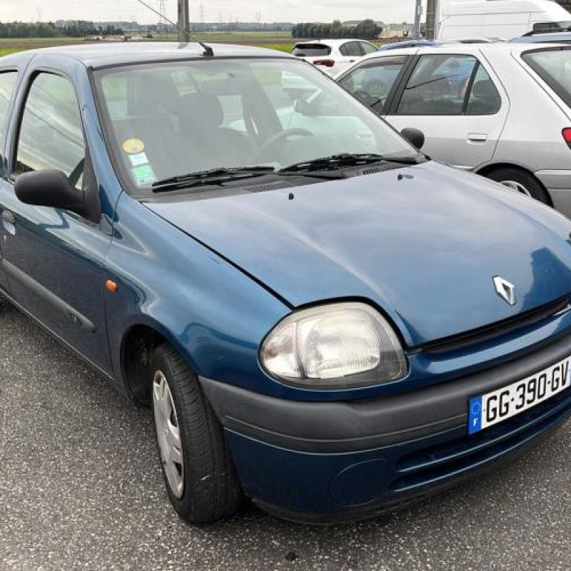 Porte avant gauche RENAULT CLIO 2 Photo n°15