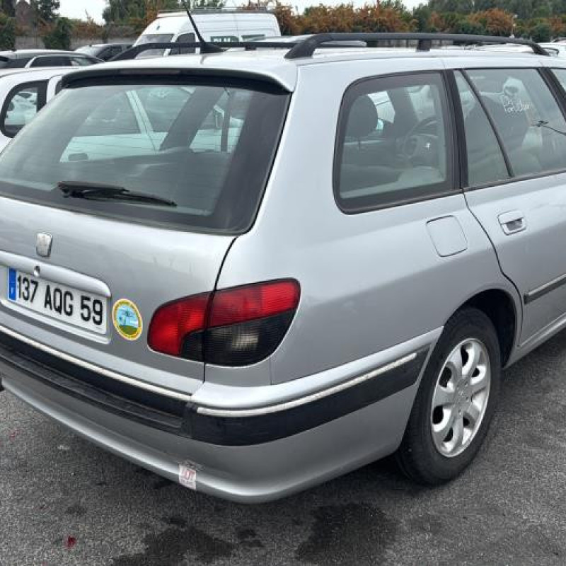 Porte avant gauche PEUGEOT 406 Photo n°9