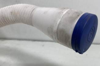 Vase de lave glace CITROEN BERLINGO 2