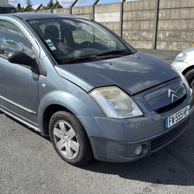 Porte avant gauche CITROEN C2 Photo n°8