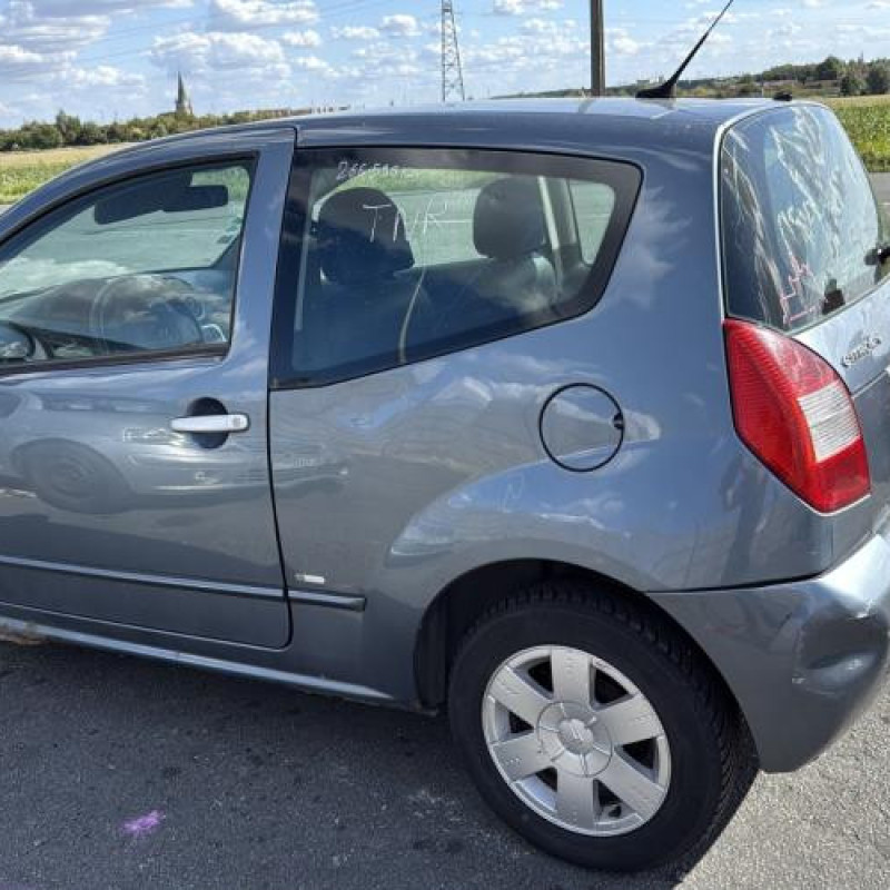 Porte avant gauche CITROEN C2 Photo n°12