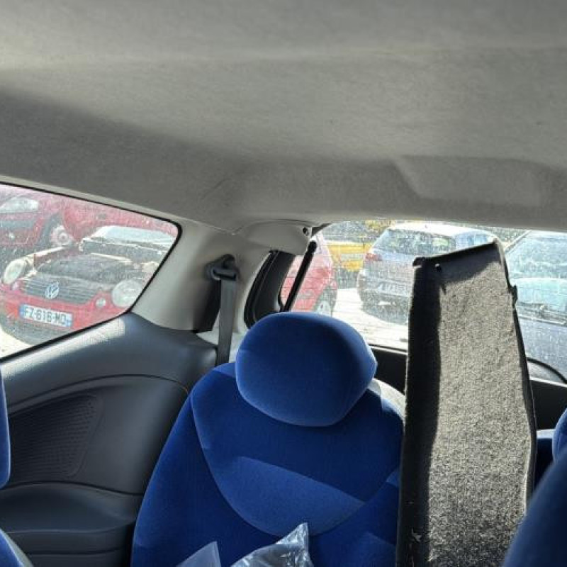 Porte avant gauche CITROEN C2 Photo n°16