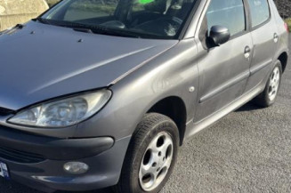 Vitre arriere gauche PEUGEOT 206