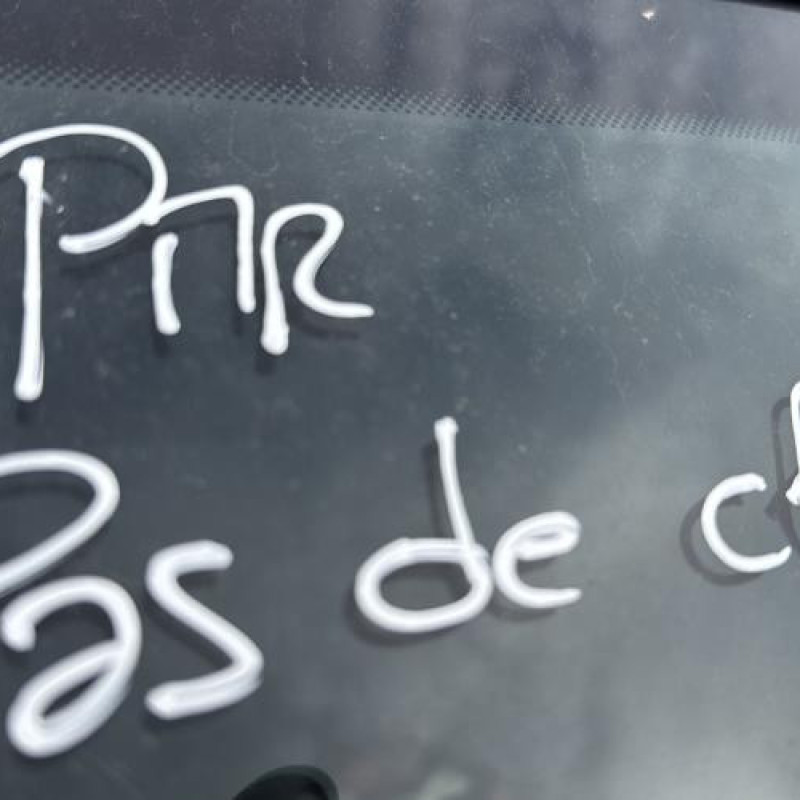 Feu arriere principal gauche (feux) PEUGEOT BIPPER Photo n°13