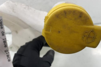 Vase de lave glace RENAULT MEGANE 4