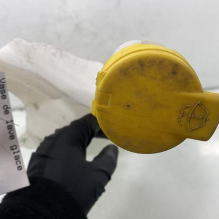 Vase de lave glace RENAULT MEGANE 4